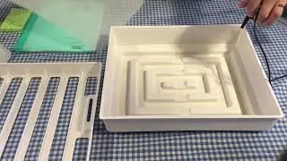 Introduction to hatching with us