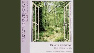Bird Song / Nightingale