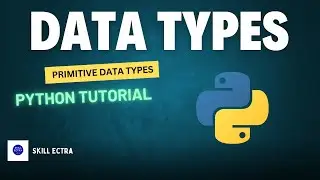 Master Python Primitive Data Types For Programming Success: Become A Basics Master