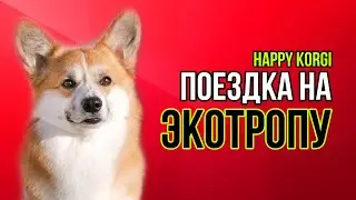 VLOG / ПОЕЗДКА НА ЭКОТРОПУ / НОВАЯ СОБАКА НА КАНАЛЕ!🔥
