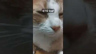 4/10