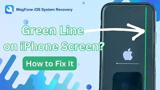 How to Fix Green Line on iPhone Screen | MagFone