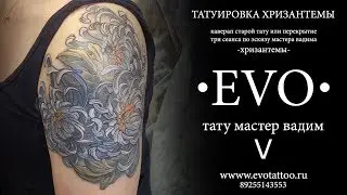 Хризантемы. Татуировка в студии тату Эво. Тату Хризантемы. Студия татуировки и пирсинга Evo.
