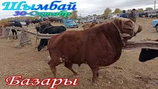 Шымбай мал базар/30-Октябр/Скотный рынок/Shimbay mal bazar/мал базар 2022/mal bazar 2022/bull/bulls