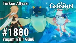 Genshin Impact 