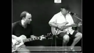 Peter Green   Blues Don't Change