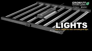 How to choose the best cannabis grow light