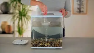 Comment changer le filtre d'un aquarium biorb?