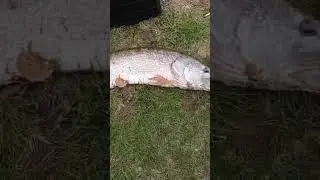 На рыбалке в Пермском крае