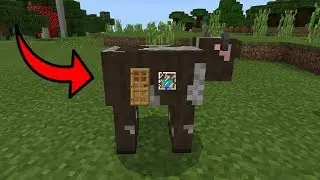 MCPE: How To LIVE INSIDE a COW