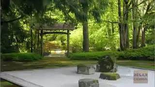 Belle musique relaxante موسيقى هادئة 2021