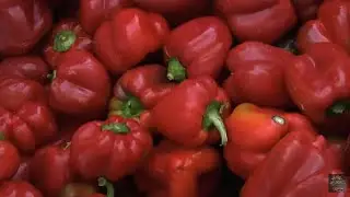 Pimientos asados de Mairena Alcor, Sevilla