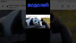 какая ты пандочка  по знаку зодиака