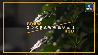 A thorough analysis of the features of RED CODE RAW (R3D) and Blackmagic RAW (BRAW) | DaVinci Res...