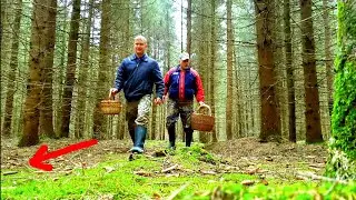 ГРИБНИКИ НЕ ОЖИДАЛИ ТАКОГО ПОДВОХА....... Грибы 2021 !