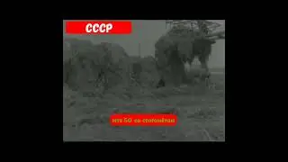 🚜🐄Заготовка кормов🌾☘🌿#1