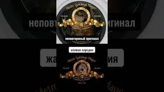 MGM представляет! Неповторимый оригинал😸 #юмор #топ #кошка #лев #рек #follow #pumarket #news #shorts