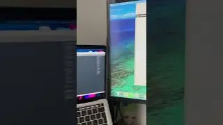 Vita da developer #2