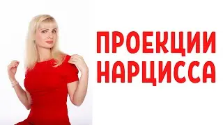 Проекции нарциссов