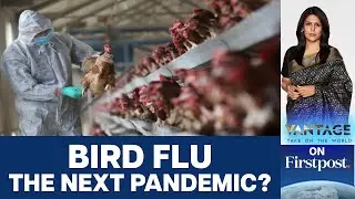 Bird Flu Outbreak 