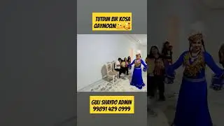 Guli Shaydo Admin 99891 429 0999 #live #топ #music #shorts #short #shortvideo #shortsvideo #love