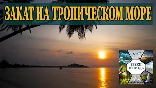 Тропическое море и Шум волн, спокойствие и релакс 10 часов. Музыка для сна. Шум моря и чайки.