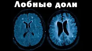 Владимир Алипов и Ежи Сармат: влияние шизофрении на мозг