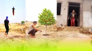 Vfx magic tree , flying funny kinemaster editing video | Udnewali video kaise banaya| magic editing