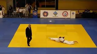 Лузина 1