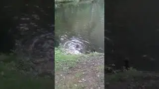 парк живой природы