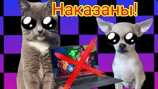НАКАЗАНЫ!? Запрещают смотреть фиксиков???