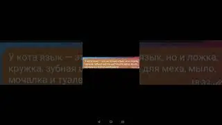 язык кота полезнее чем наши руки #memes #funny #анекдоты #humor #рекомендации