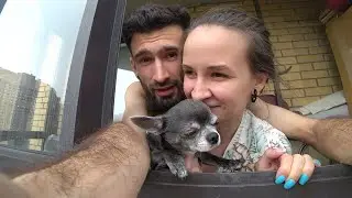 Годовщина свадьбы. Пацифист в кожанке за 2К лечится мухоморами, планируем отдых)