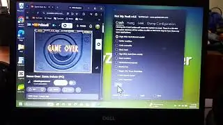 Zuma Deluxe Game Over Has BSOD