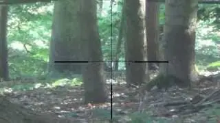 MSR-338 Airsoft Sniper Scope Cam 2