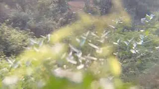 Apixel 12x zoom lens 📸 || check the quality of Zoom || Zoom Test #zoomlens #apexel #zoomtest 