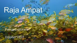 Raja Ampat (Papua Explorers} September 2022