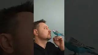 Истории зимы (сториз микс) 
