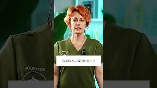 Когда НАДО идти к ТРИХОЛОГУ? 