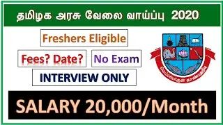 தமிழக அரசு பல்கலைக்கழகத்தில் வேலைவாய்ப்பு | FRESHERS Eligible | Interview only | Apply now!!!