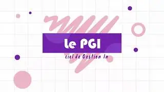 👨‍💻 💡Qu'est-ce qu'un PGI ?