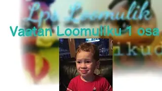 Vaatan Lps Loomuliku 1osa