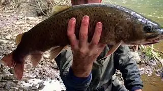 Fishing for char on the Kema River using wobblers