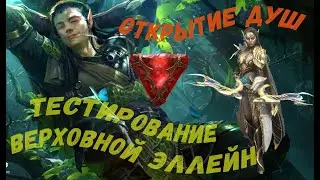 Открытие душ | ТЕСТИРОВАНИЕ Верховной Элейн!!!    RAID SHADOW LEGENS