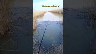 Рыбалка на протоке 