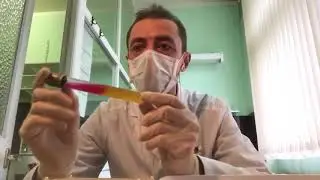 Как распознать бактерии рода Shigella (шигелла). Подробный лабораторный обзор (2020).