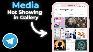 telegram media not showing in gallery