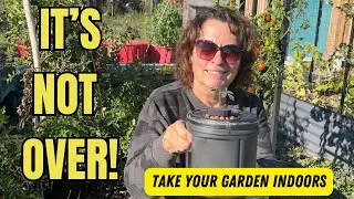 BRING YOUR GARDEN INDOORS!!  🍅🍓How to Start Indoor Hydroponics