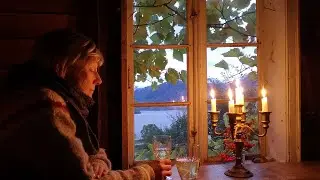 Last Preperations Before the Grape Harvest - Vineyard Life