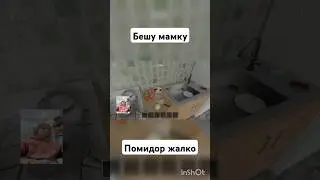 КТО СОЖРАЛ ПОМИДОРЫ? Schoolboy runaway #youtubeshorts